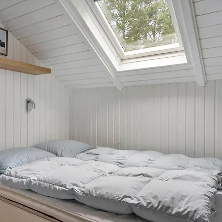 Bv150-blavand-hedevej-14